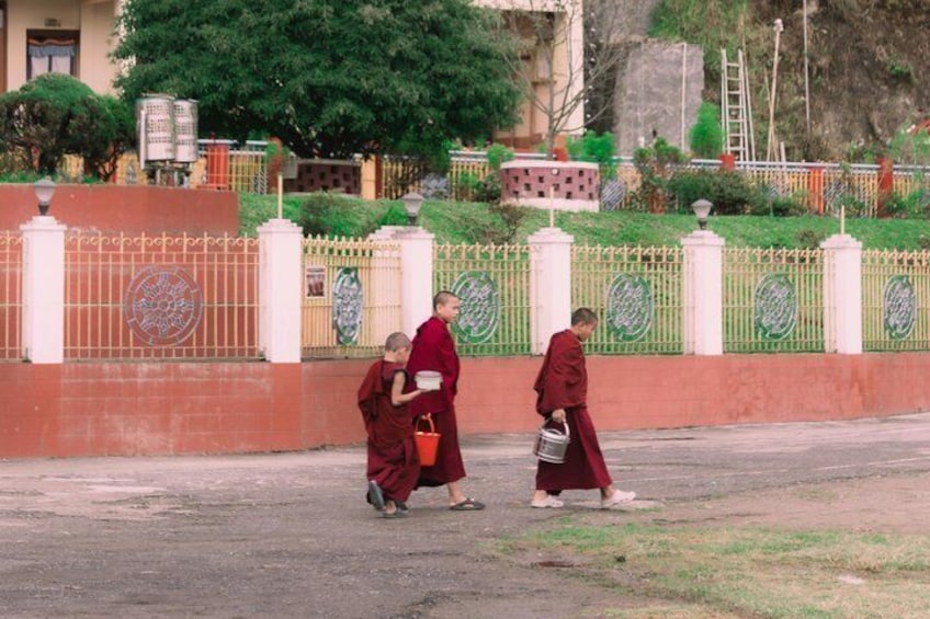 Dos monjes caminando por un camino empedrado en un patio con una cerca decorativa y follaje al fondo. 2