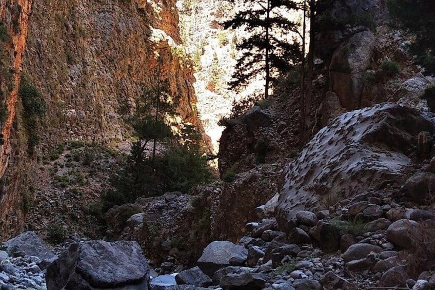 Samaria Gorge: Full-Day Guided Private Tour. 5