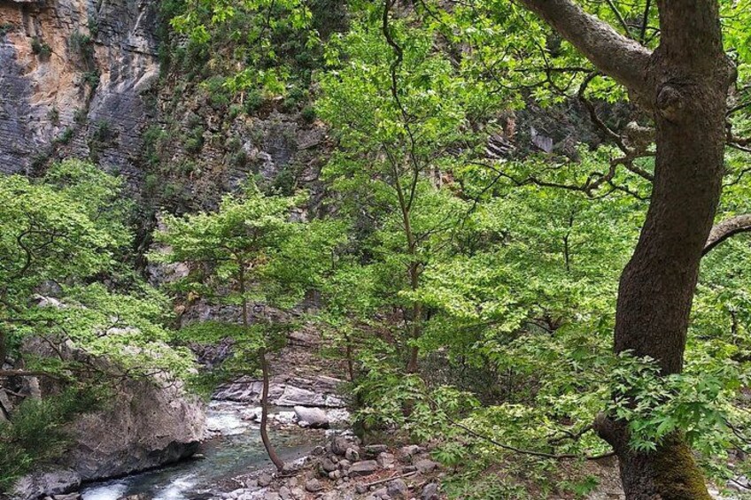 Samaria Gorge: Full-Day Guided Private Tour. 4