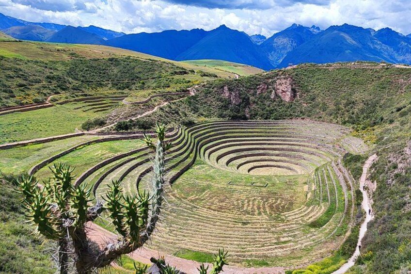 Terraced agricultural fields, a winding path, and mountains in the background. 4
