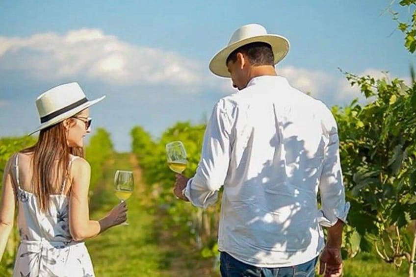 A couple walking in a vineyard holding wine glasses. 4