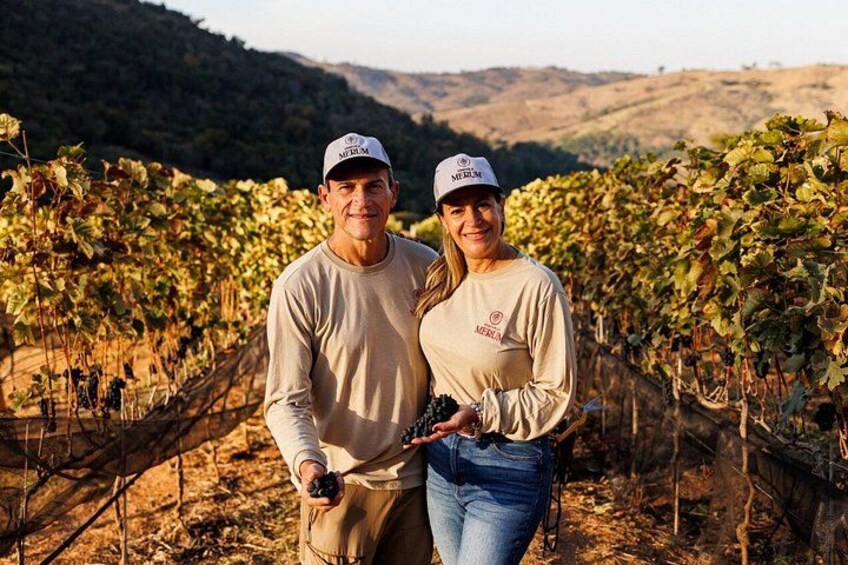 Two people in a vineyard with rows of grapevines. 2