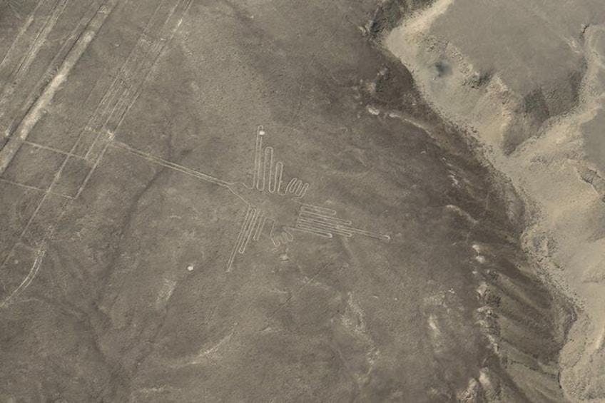 3 Days Tour of Paracas Huacachina and Nazca 4