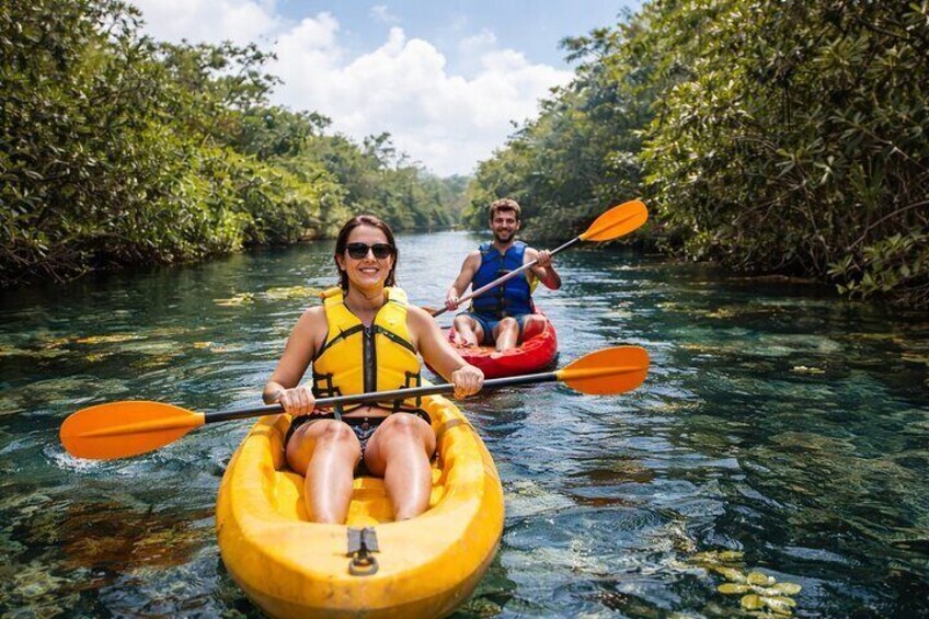 Two people kayaking on a river surrounded by dense mangrove trees. 2