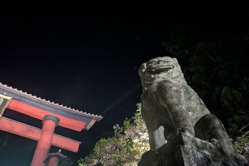 Lake Kawaguchi : Private Night Tour with local guide 2