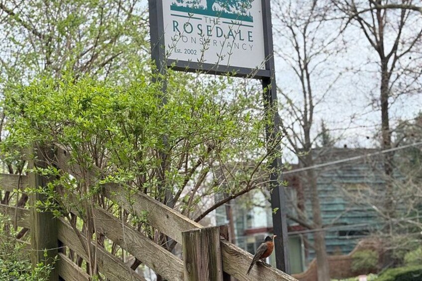 A wooden fence with a bird perched on it, a sign for The Rosedale Convalescent Center, and trees in the background. 3