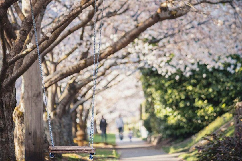A wooden swing hanging from a tree with bare branches, a pathway, and a blurred figure in the distance. 4
