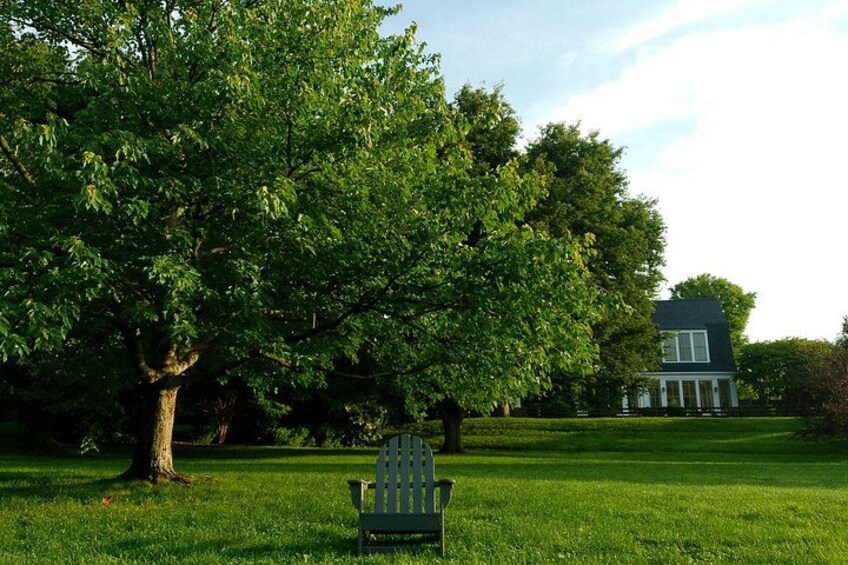 A green lawn, a large tree, a white house, and a green chair. 5