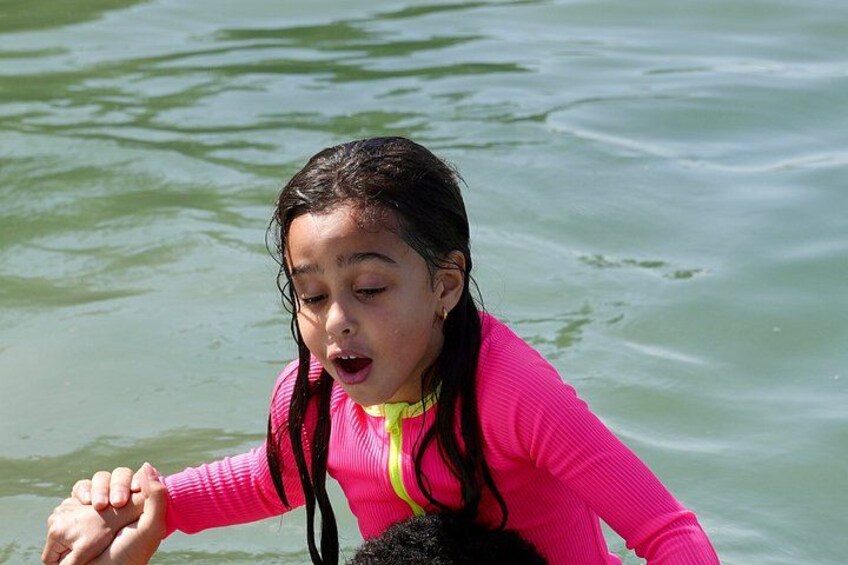 Raccoon Island Miami Boat Tour with Wildlife & Swimming 4