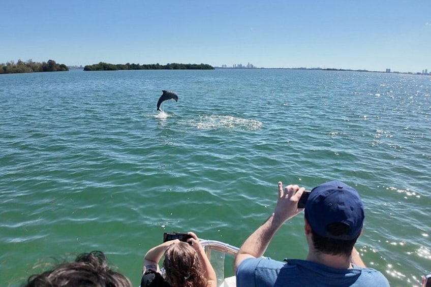 Raccoon Island Miami Boat Tour with Wildlife & Swimming 4