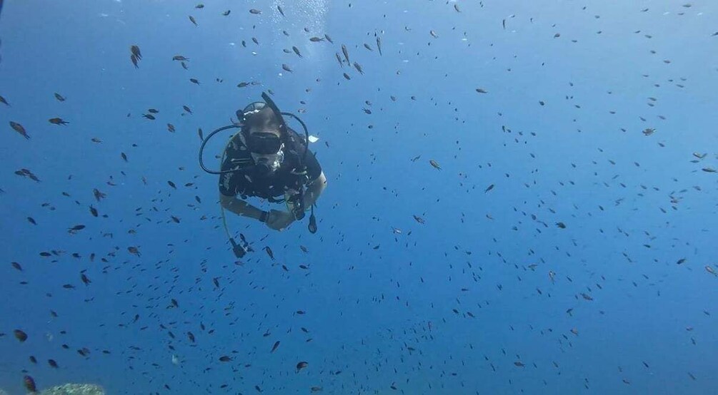 Picture 5 for Activity Sestri Levante: beginner diving in Baia del Silenzio 2