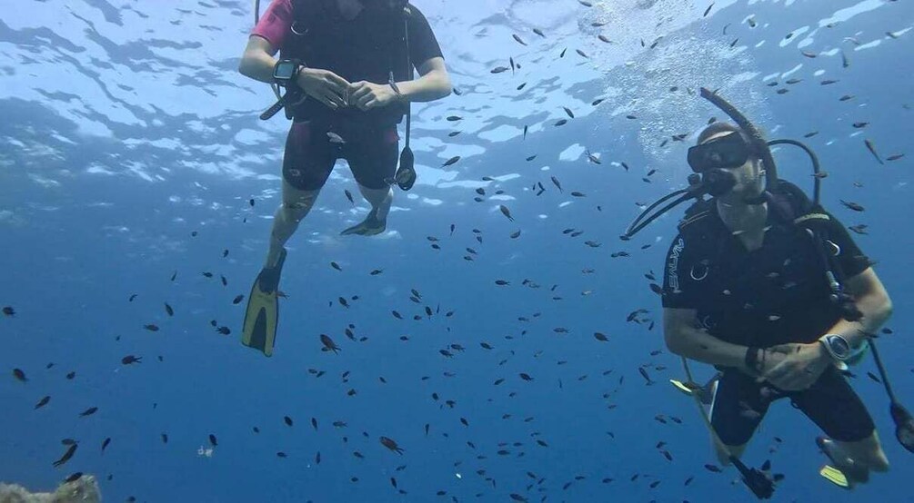 Picture 6 for Activity Sestri Levante: beginner diving in Baia del Silenzio 3