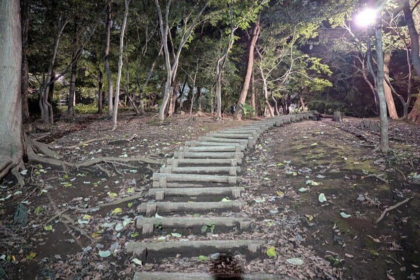 Tokyo True Crime and Ghost Stories Tour 3