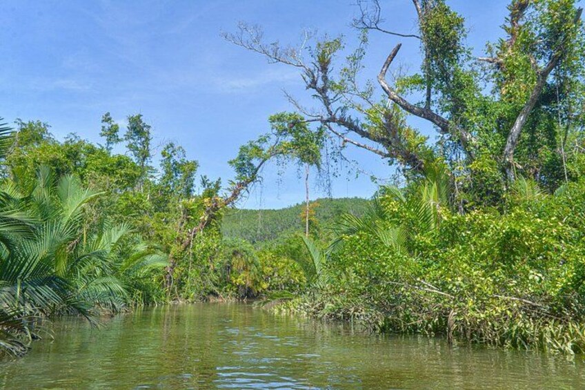Little Amazon and Wat Khongkha Phimuk Half Day Tour from Khao Lak 4