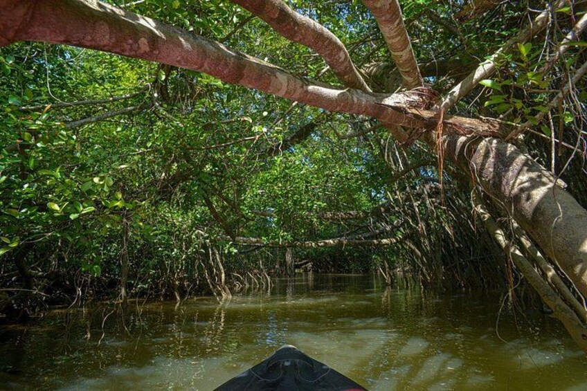 Little Amazon and Wat Khongkha Phimuk Half Day Tour from Khao Lak 5