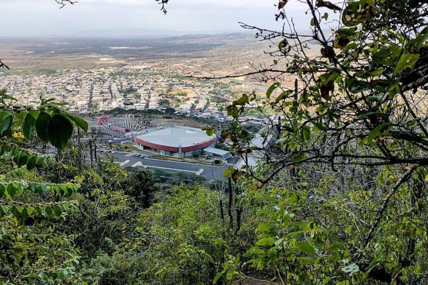 A stadium surrounded by dense vegetation and a distant cityscape. 1