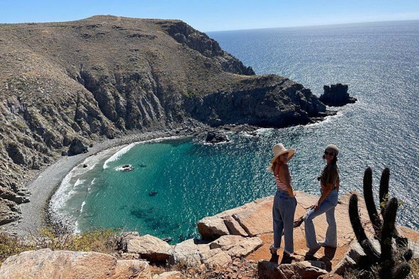 A coastal landscape with a rocky cliff, clear turquoise sea, and cacti. 1