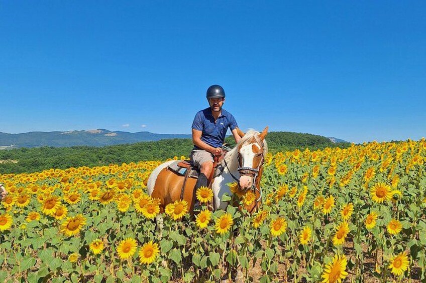 Sofia Horse riding and 1 night camping by lake Pchelina 2