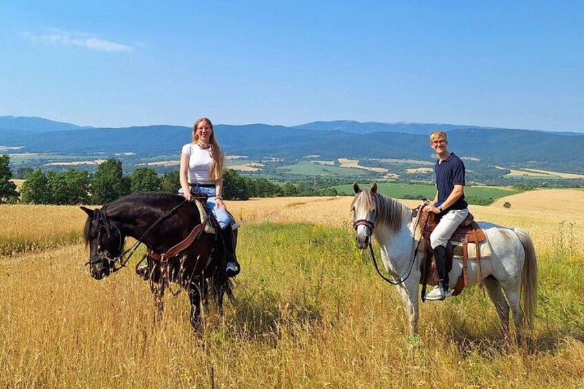 Two people riding horses in a field with a mountainous landscape in the background. 3