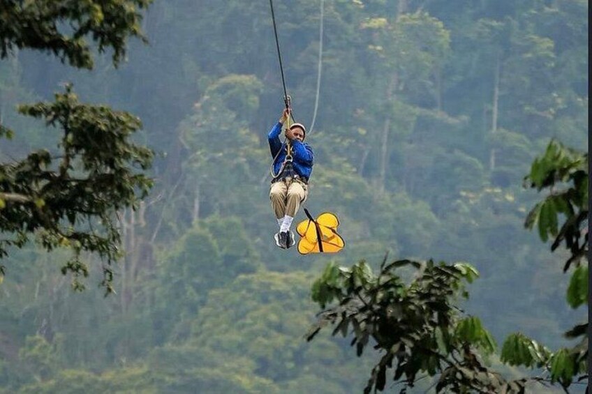 A person zip-lining through a forested area. 2