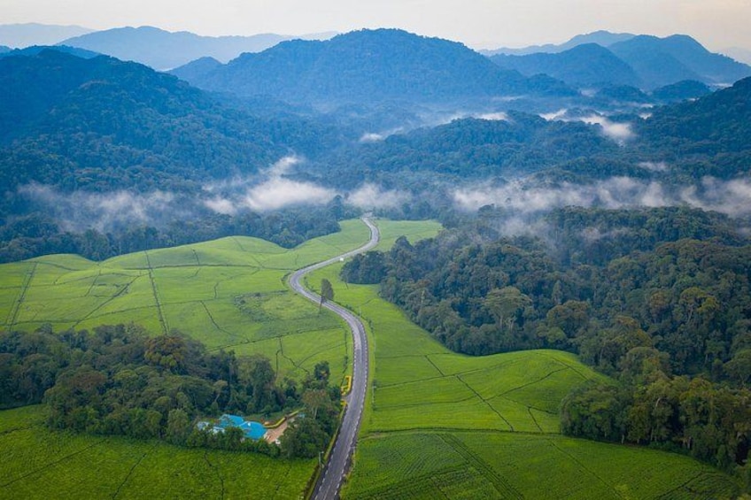 A winding road through a valley with green fields and forested hills. 1