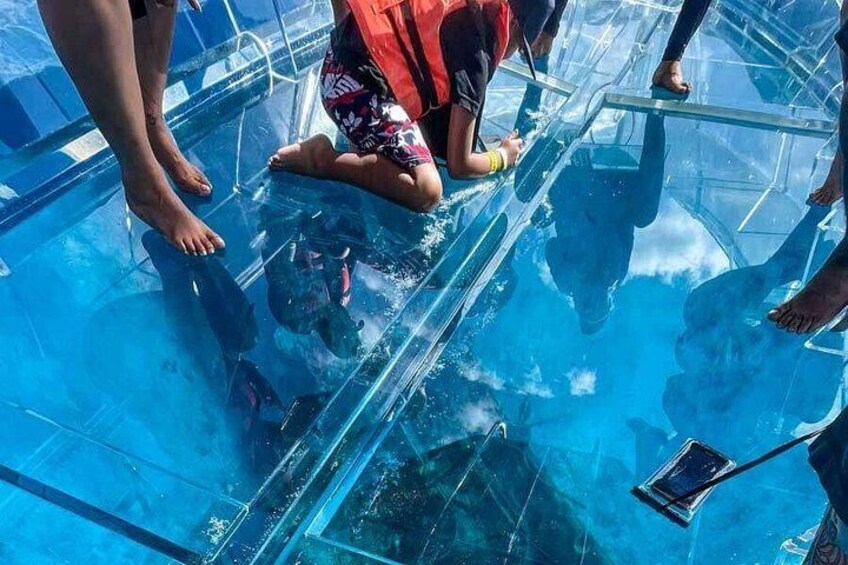 People standing on a transparent glass floor above water. 2