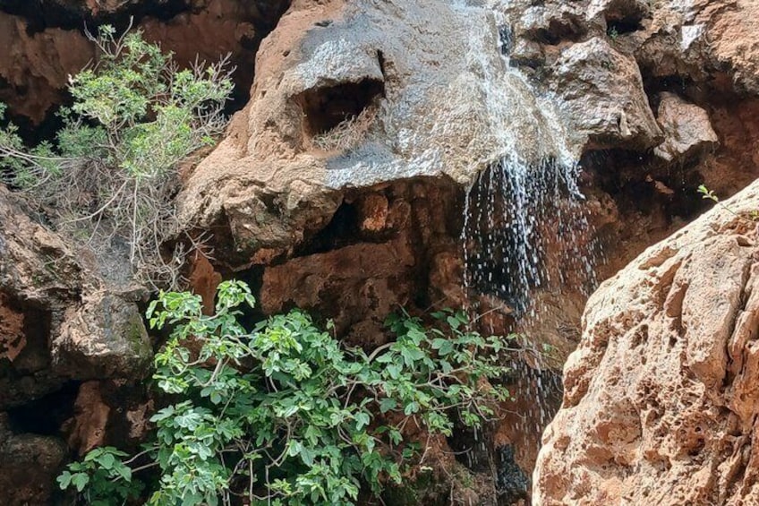 A waterfall cascading over rocky terrain with green foliage. 5
