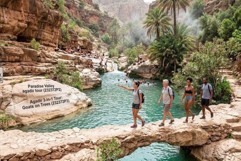 A group of people walking on a rocky bridge over a river in a canyon with palm trees and greenery. 2
