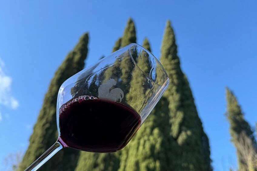A wine glass with red wine against a backdrop of tall, slender trees and a clear blue sky. 3