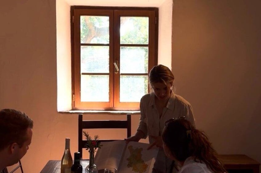 Chianti Wine Tasting at Castello di Orgiale 2