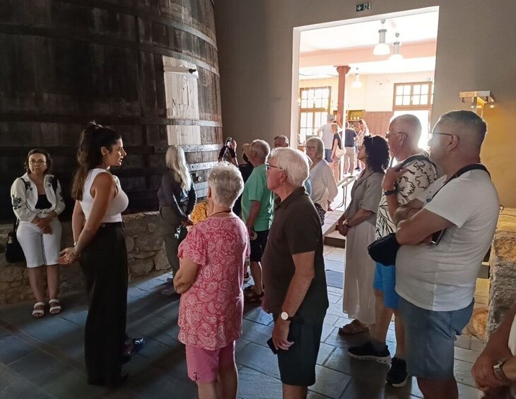 Wine Tasting Experience in Samos 5