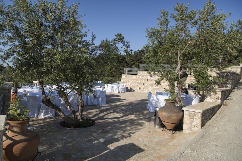 Wine Tasting Experience in Samos 2