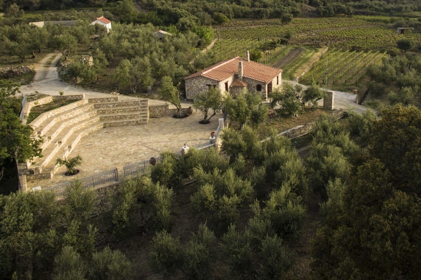 Wine Tasting Experience in Samos 3