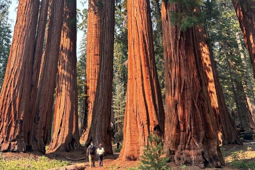 Los Angeles to Kings Canyon and Yosemite 2 Day Tour 2