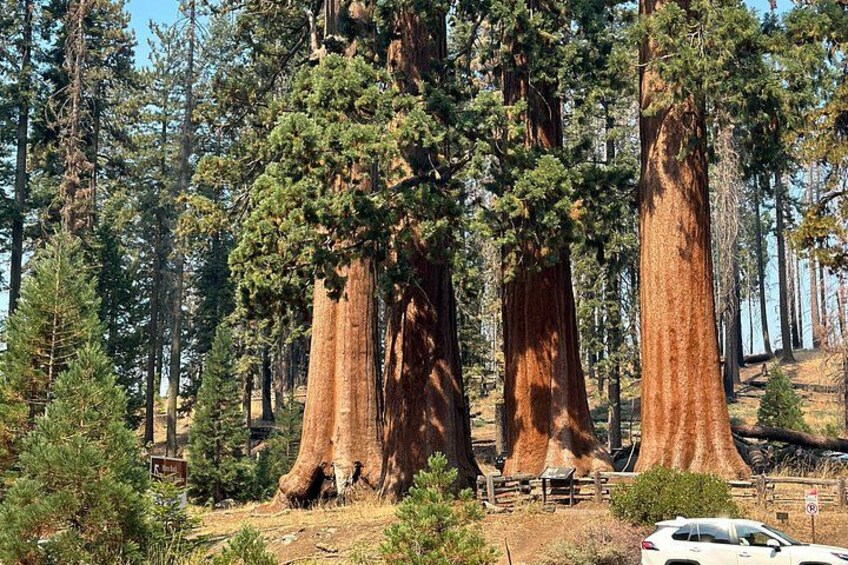 Los Angeles to Kings Canyon and Yosemite 2 Day Tour 2
