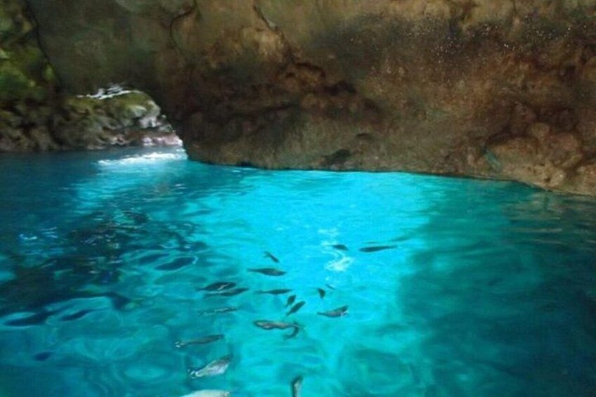 A clear blue pool with fish swimming, surrounded by rocky walls. 3