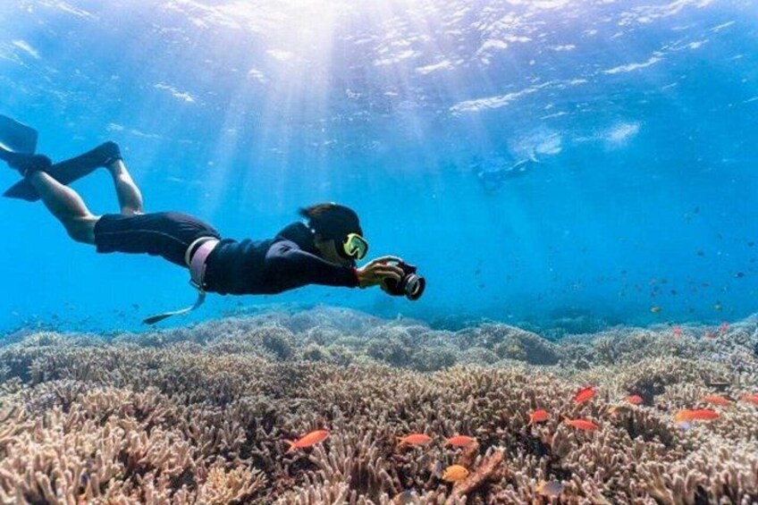 A person scuba diving underwater with a coral reef and fish in the background. 1