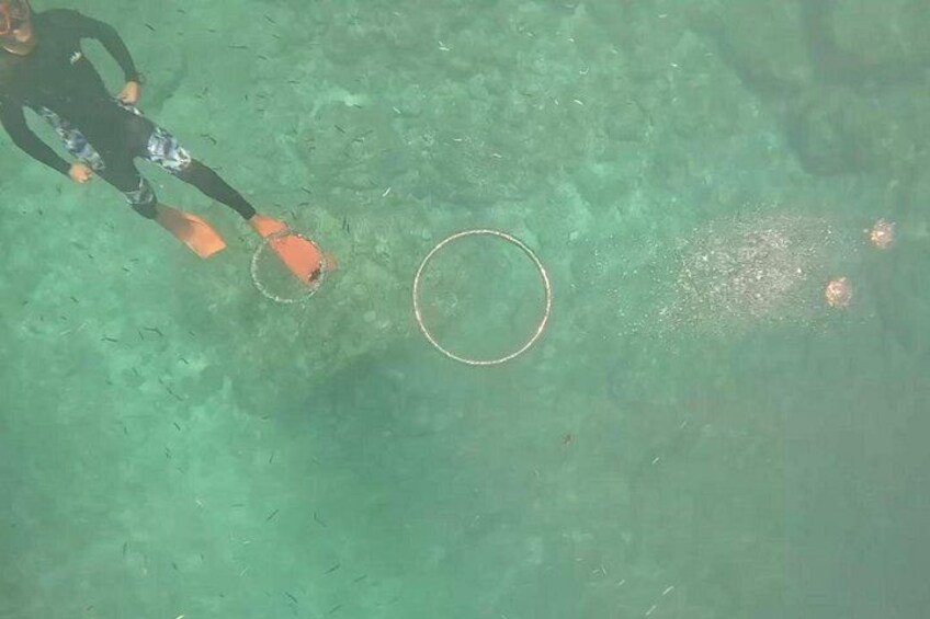 A person snorkeling in clear water with a circular object nearby. 2