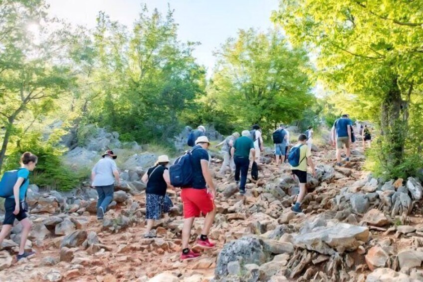 Un groupe de randonneurs emprunte un sentier rocailleux, bordé d’arbres. 4