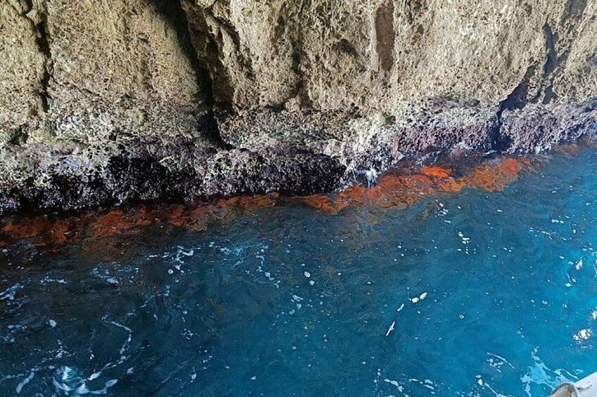 Una costa rocosa con aguas azules cristalinas. 5