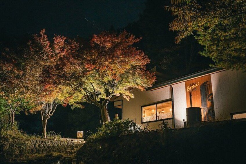 A calm evening atmosphere in SAIKO 5