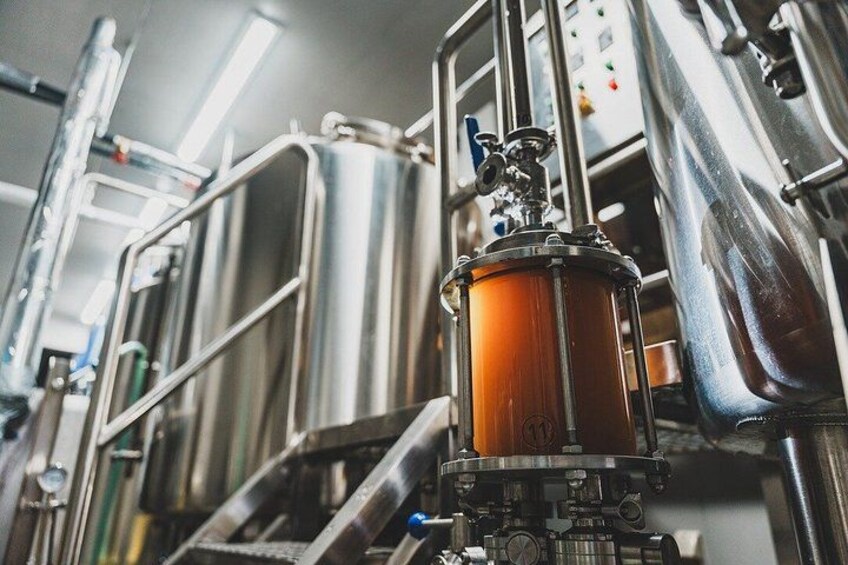 Behind the scenes of a working craft brewery 3
