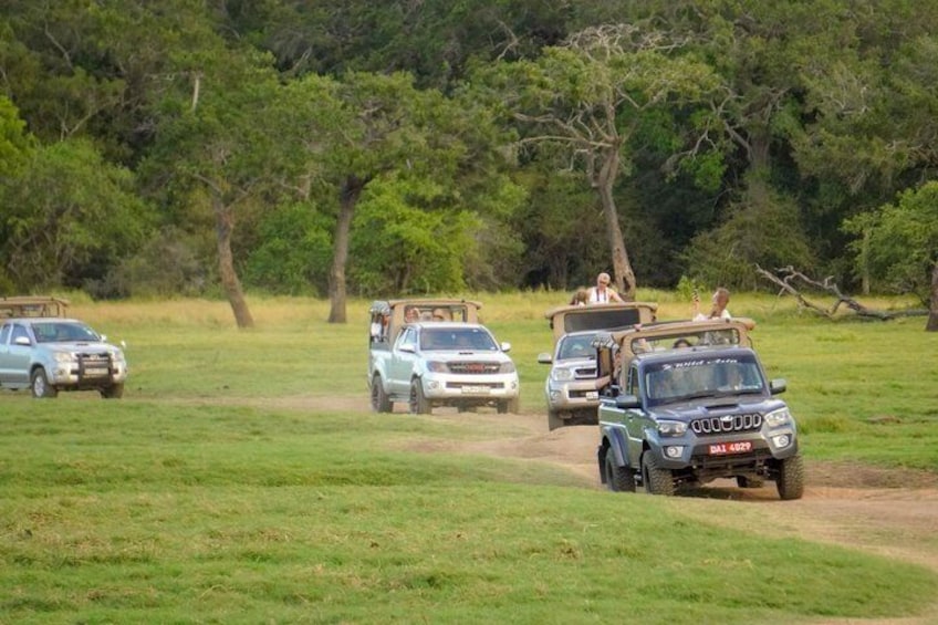 A safari tour with vehicles and passengers on a dirt road in a grassy area with trees. 1