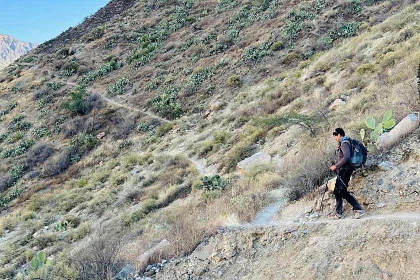 A hiker on a rocky trail with sparse vegetation and a mountainous backdrop. 2