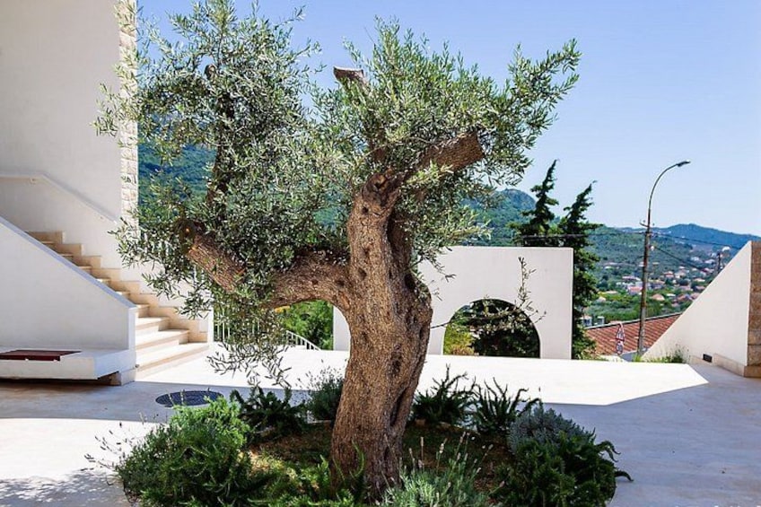 A tree in a courtyard with a staircase and a view of a town in the background. 4