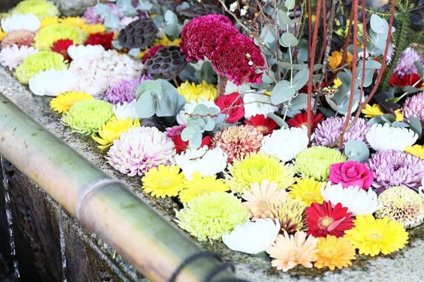 A variety of colorful flowers arranged along a concrete edge. 5