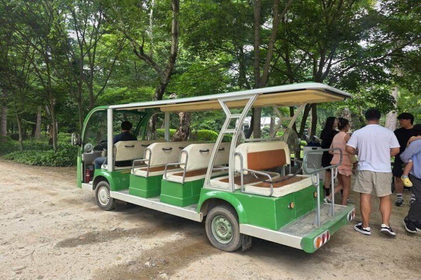 Alpaca Sheep Ranch, Nami, Petite France Private Tour from Seoul 4