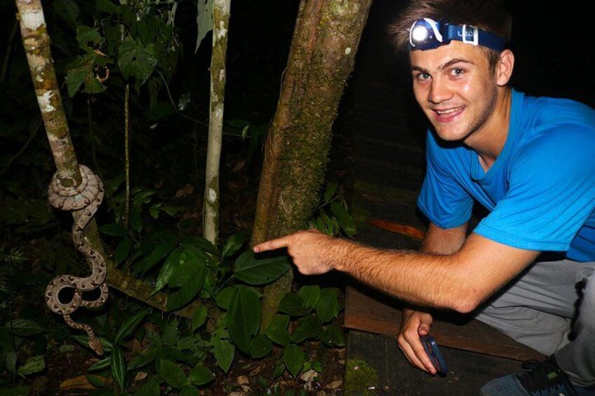 Una persona señalando una serpiente en un bosque. 3