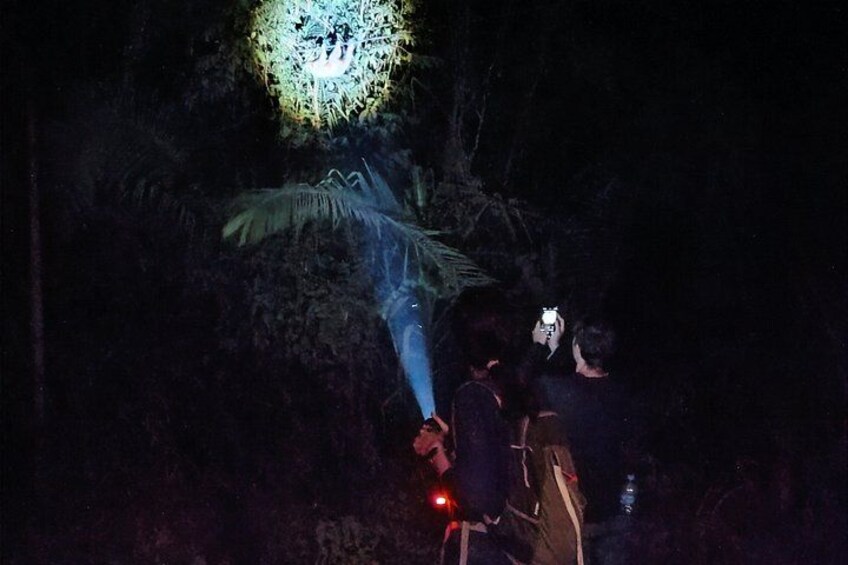 Una persona sostiene una linterna en un bosque oscuro. 2