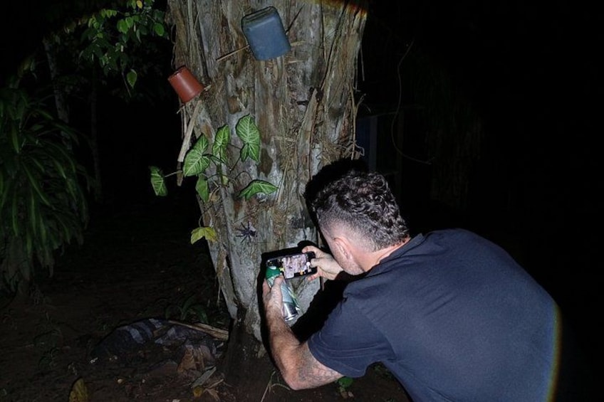 Night walk and search for tarantula sloths 4